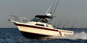 Janie K Sport Fishing Wellcraft Boat