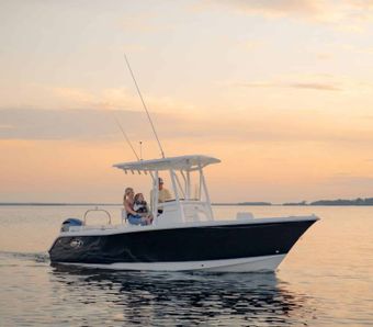 Baldheaded Bobby Guide Service Sea Hunt (Center console) boat