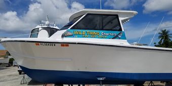 Wild Thing Charters Island Hopper (Offshore sport Boat