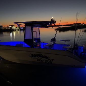 Reel Life Fishing Charters Wellcraft Boat