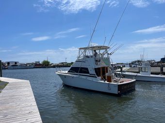 Cost Of Living Sportfishing, LLC Bertram Boat