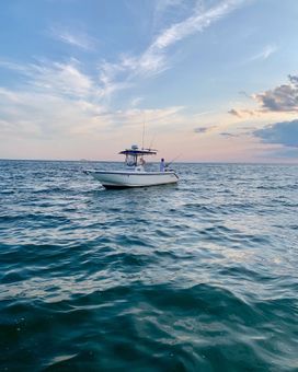 Ortus Charters Boston Whaler Boat