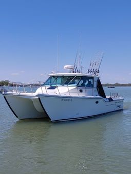 Wicked Eye Charters Baha King Cat catamaran Boat