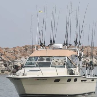 Fish PaTroll Charters Tiara Boat