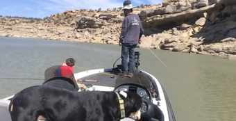 Fish and Fungi LLC Stratos Boat