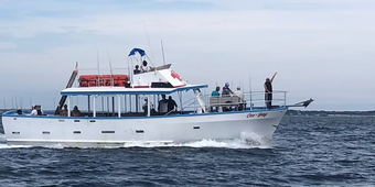 Ceejay Fishing Fiberglass Marine Boat