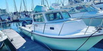 Single Fin Sport Fishing Parker 2520 XLD Sport Cabin Boat