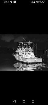 Reel Hard Charters Bertram boat