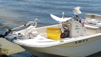 Matt's Fishing Adventures Carolina Skiff Boat