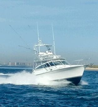My Boys Fishing Charters  Henriques Boat