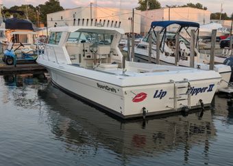 Erie Elite Charters Sportscraft boat