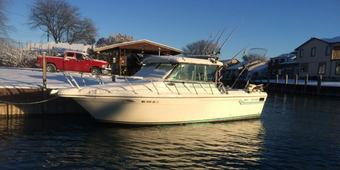 Bushwacker Fishing Charters Tiara Boat