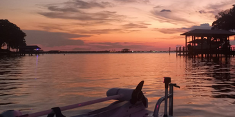 Brackish Bandit Fishing Charters Sea Pro Boat
