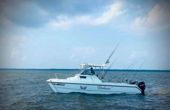 Reelaxin Charters and Weddings LLC Sea Cat Boat
