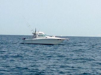 CohoMotion Charters SeaRay Amberjack Boat