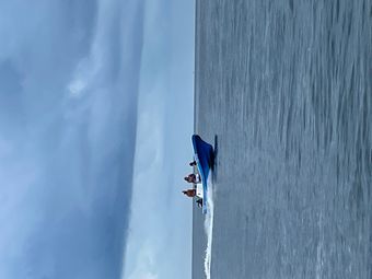 Tidewater Fishing Torre Boat