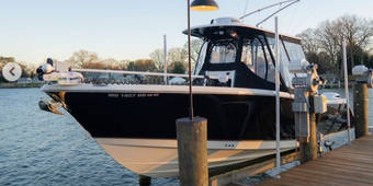 Stella Charters NauticStar Boat