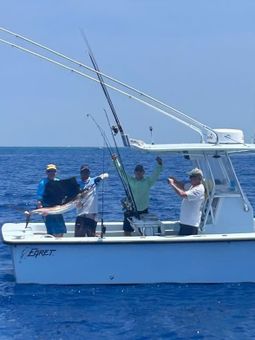 Top Notch Sportfishing Egret Boat