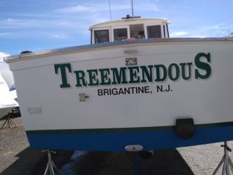 Treemendous Sportfishing Charters Henriques Boat