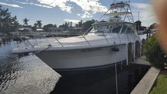 Always Fun Charters Tiara Boat