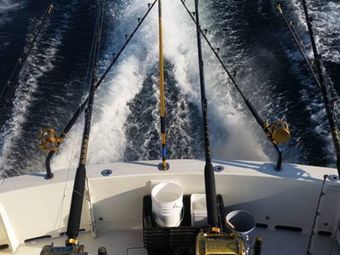 Purple Jet Sport Fishing Henriques Boat
