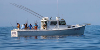 Mad Hatter Charters BHM Boat