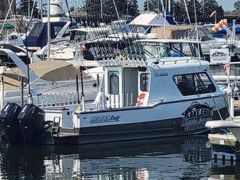 Lake Erie Charter Service LLC Hewescraft boat