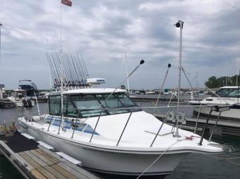 Stackin Fish Charters Baha (Cruiser) Boat