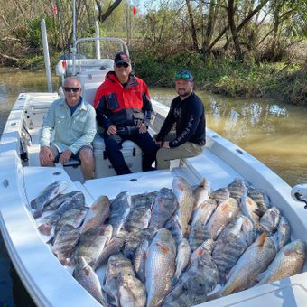 Cajun Culture Pathfinder Bay boat boat