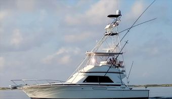 Six Shooter Charters Bertram sport fish yacht (Offshore sport fishing) boat