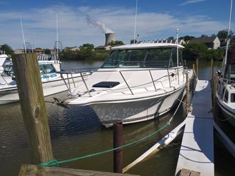 Mr Twister Charters Baha Boat