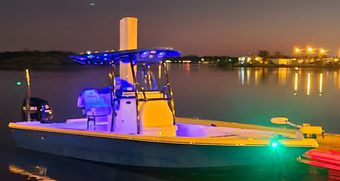 Strippin Lips Fishing Charters Baycraft Boat