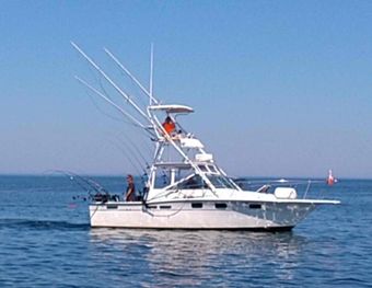 SunMoon Adventures Tiara boat