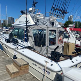J Line Charters Sea Ray boat