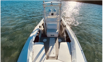 Terrific Boat Charters Thunderbird Boat