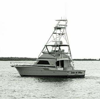Charter Boat Into the Blue Bertram (Offshore sport fishing) boat
