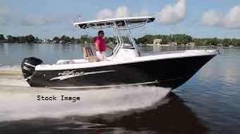 Force Feed'n Charter Fishing Pro-Line Boat