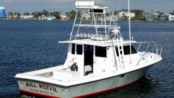 Boll Weevil Boll Weevil boat