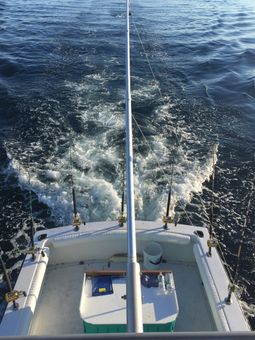 Push the Limit Sportfishing JC boat