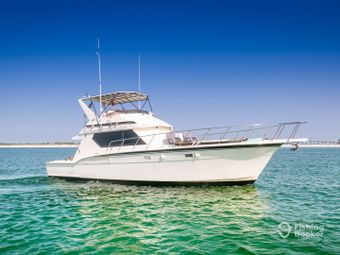 Private Yacht Destin Convertible Boat