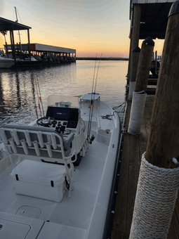 Reel As It Gets Charters Skeeter Boats Boat