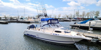 Pro-Tek Fishing Walleye Charters Wellcraft Boat