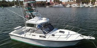 Gradyful Fishing Charters Tiarra (Walkaround) Boat