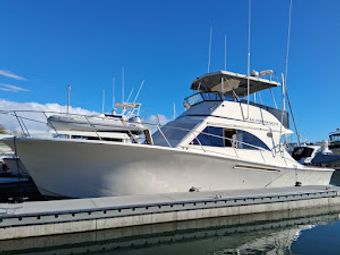 California Coastal Charters Jersey Boat Boat