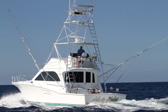 Nasty Habit Charter Cabo Boat