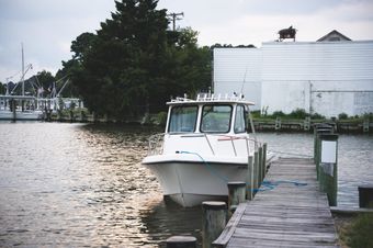 Fishpit Charters Maycraft boat