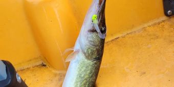 Baitwatch Fishing  Kayak Boat