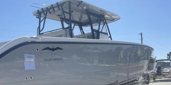 Let's Hook Up Charters Seahunt (Center console) Boat