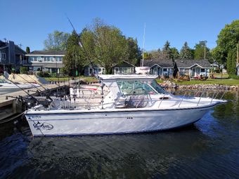 Game Time Guide Service Baha Cruisers Boat
