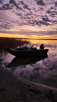 Hooked Up LLC  Alumacraft Boat